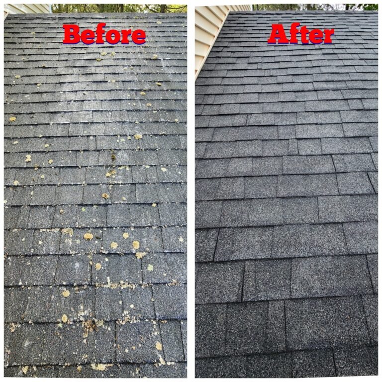 WhatsApp Image 2026-03-08 at 09.33.42 (1)