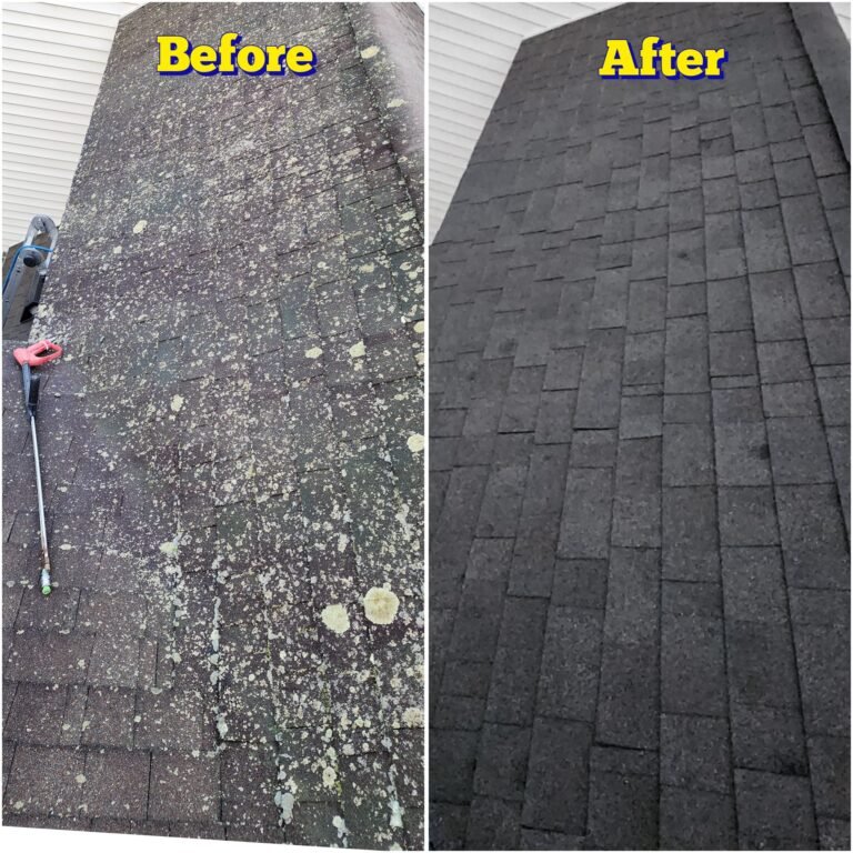 WhatsApp Image 2026-03-08 at 09.33.42 (2)