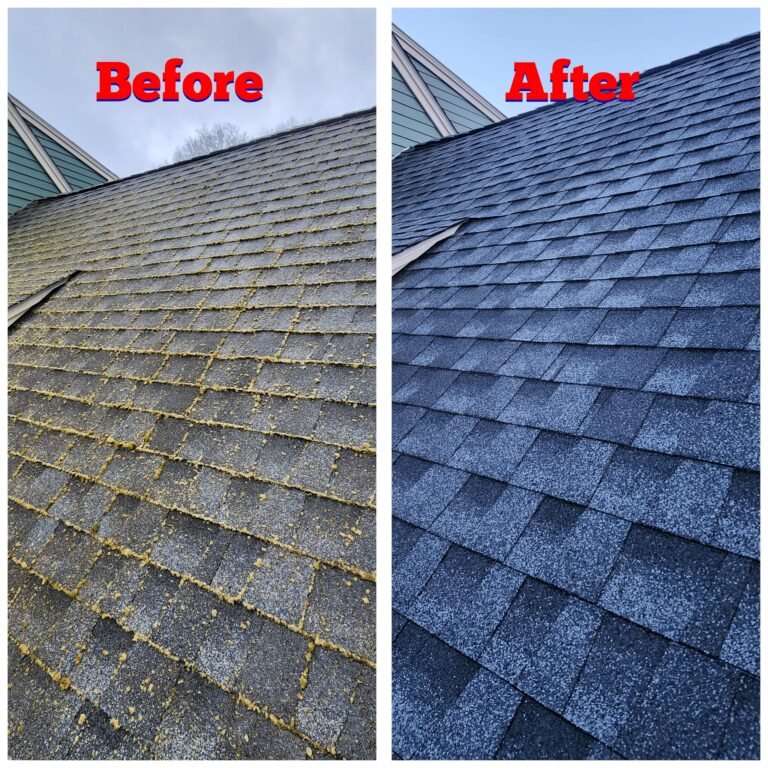 WhatsApp Image 2026-03-08 at 09.33.42