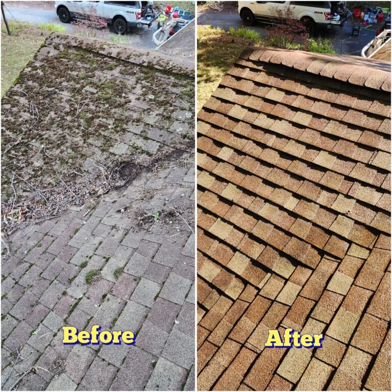 WhatsApp Image 2026-03-08 at 09.35.37 (1)