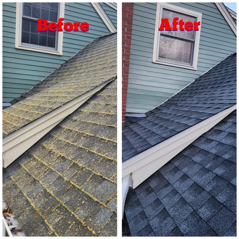 WhatsApp Image 2026-03-08 at 09.35.37