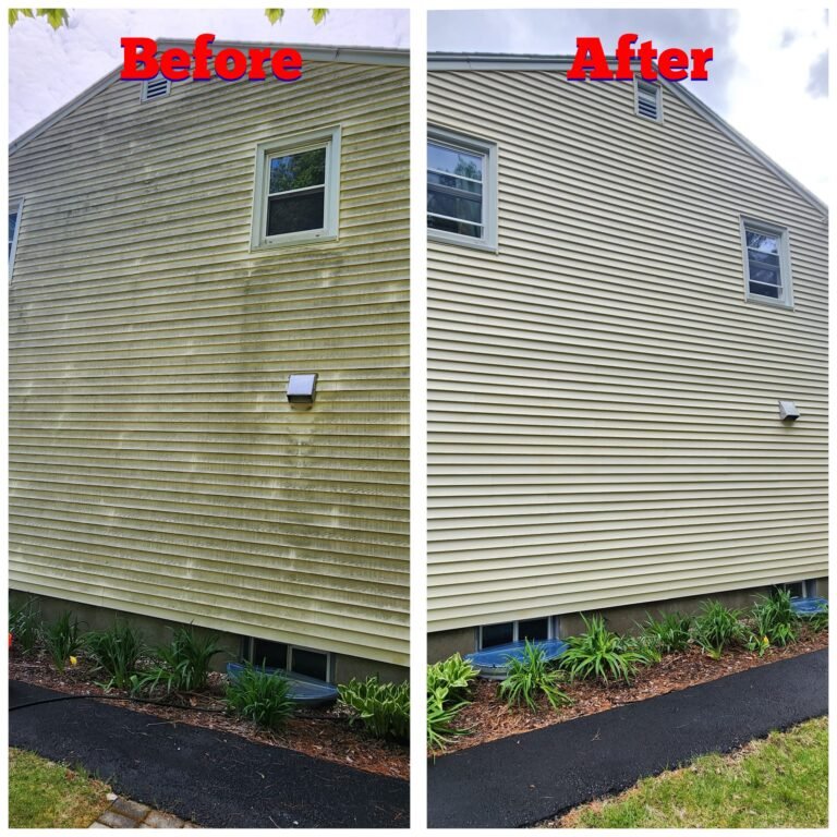 WhatsApp Image 2026-03-08 at 09.41.50