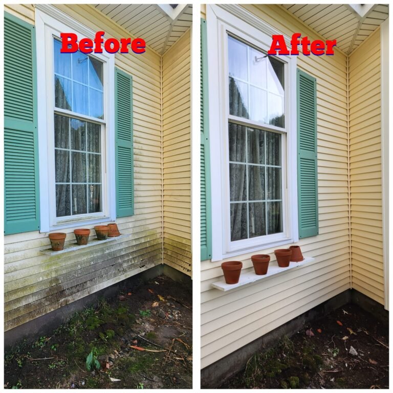 WhatsApp Image 2026-03-08 at 09.41.51 (1)