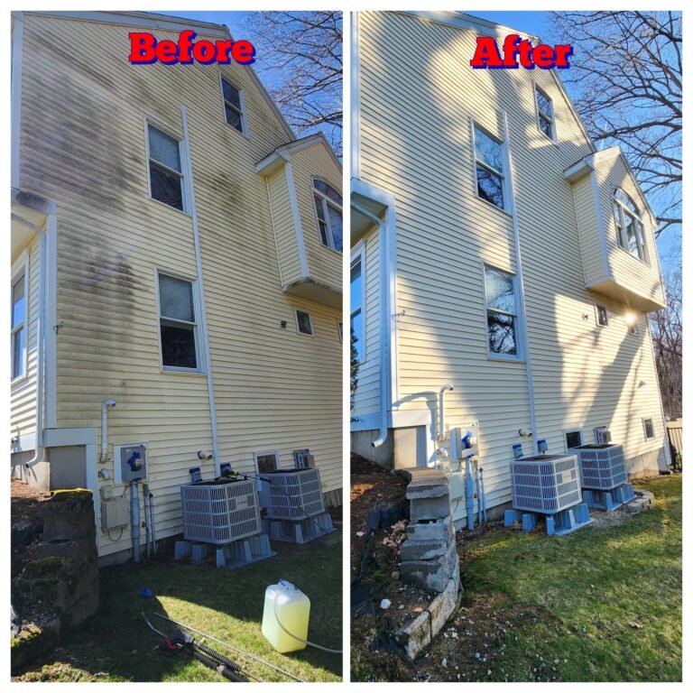 WhatsApp Image 2026-03-08 at 09.41.51 (3)