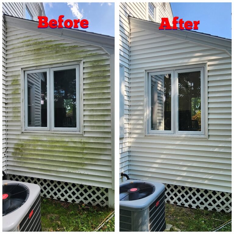 WhatsApp Image 2026-03-08 at 09.41.51