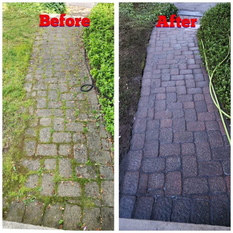 WhatsApp Image 2026-03-08 at 09.50.57 (1)