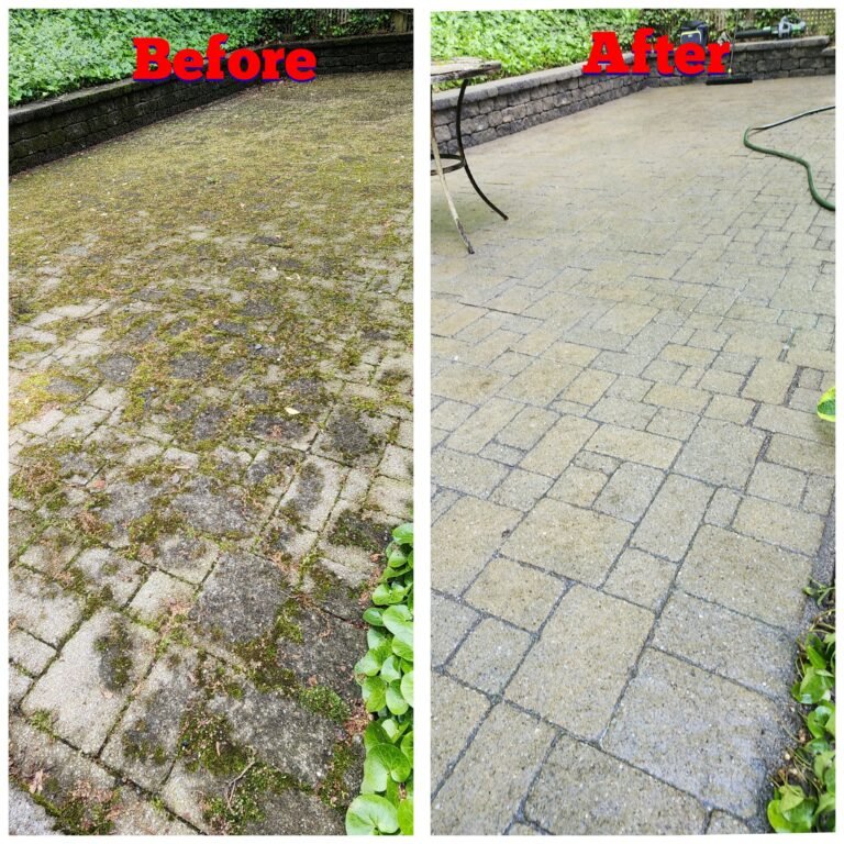 WhatsApp Image 2026-03-08 at 09.50.57 (3)