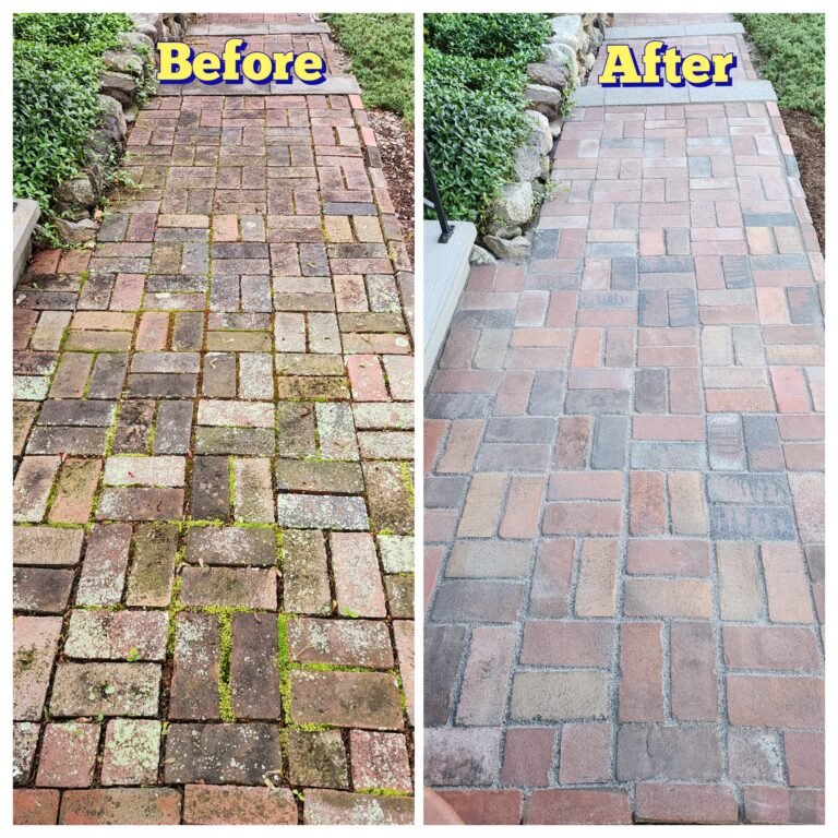 WhatsApp Image 2026-03-08 at 09.50.58 (1)