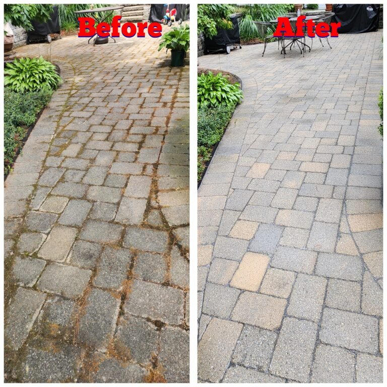 WhatsApp Image 2026-03-08 at 09.50.58