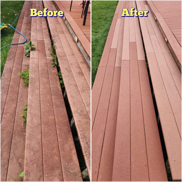 WhatsApp Image 2026-03-08 at 10.00.18 (4)