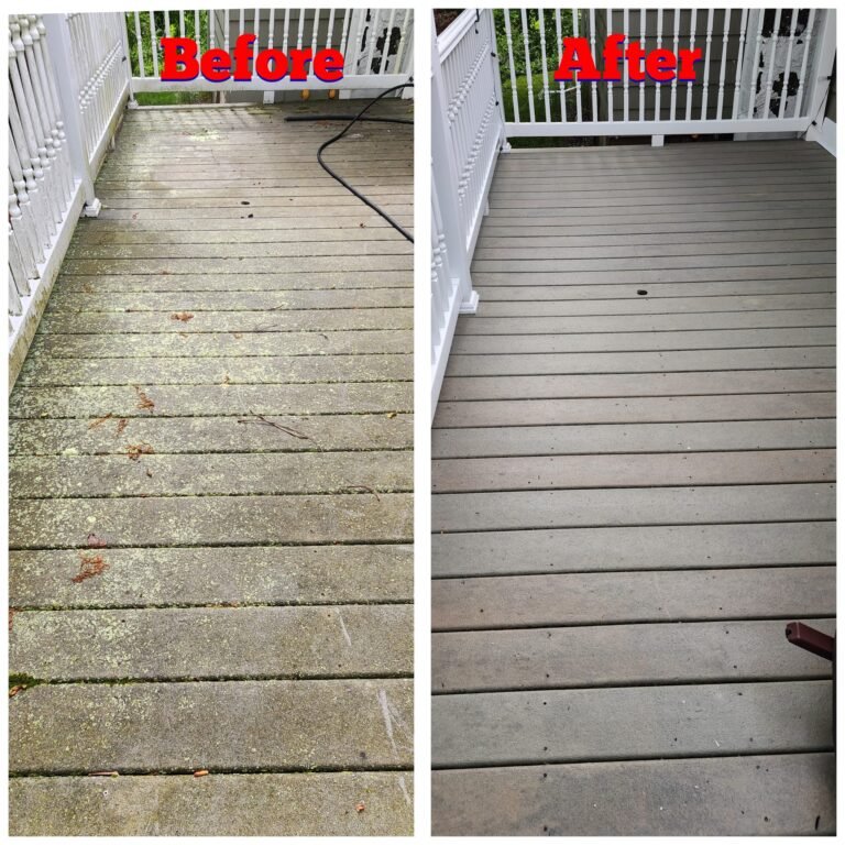 WhatsApp Image 2026-03-08 at 10.02.29 (1)