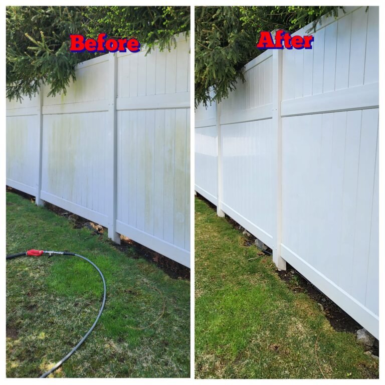 WhatsApp Image 2026-03-08 at 10.51.21 (1)