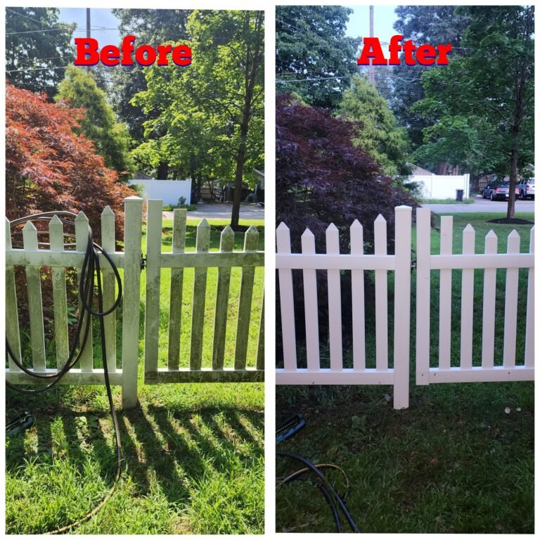 WhatsApp Image 2026-03-08 at 10.51.21