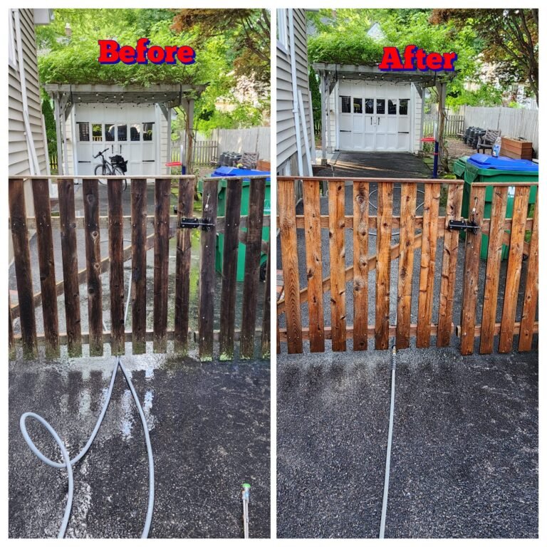 WhatsApp Image 2026-03-08 at 10.53.39 (3)