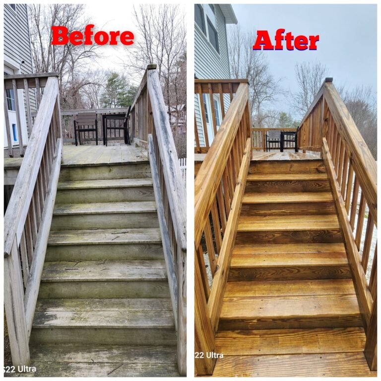 WhatsApp Image 2026-03-08 at 10.55.08