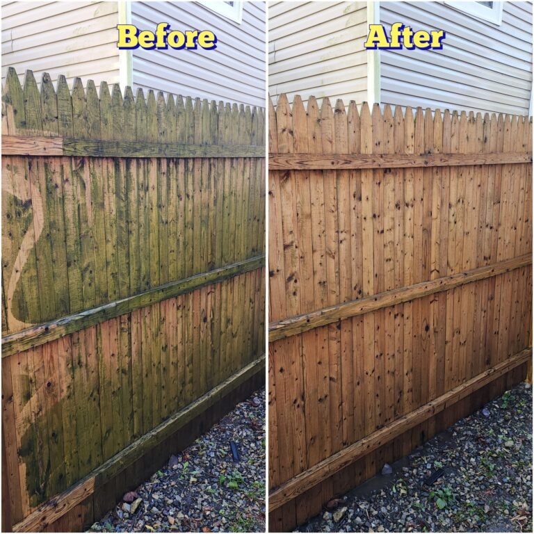 WhatsApp Image 2026-03-08 at 10.55.09 (1)