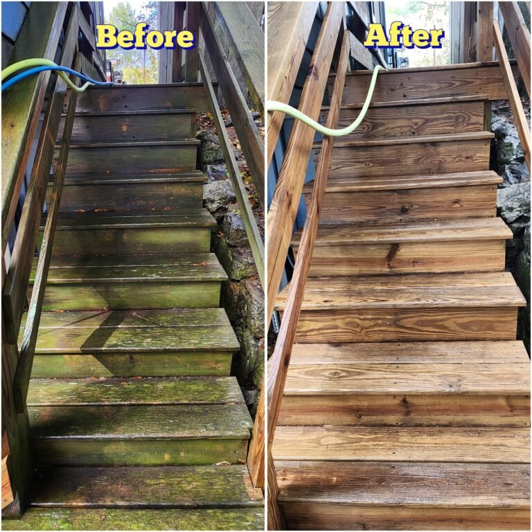 WhatsApp Image 2026-03-08 at 10.55.09