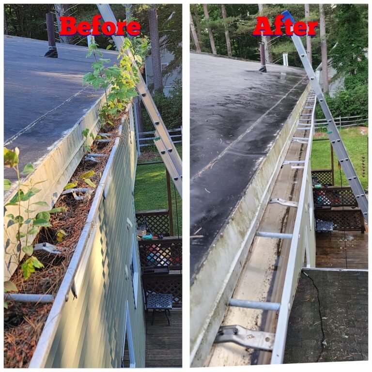 WhatsApp Image 2026-03-08 at 10.57.07 (1)