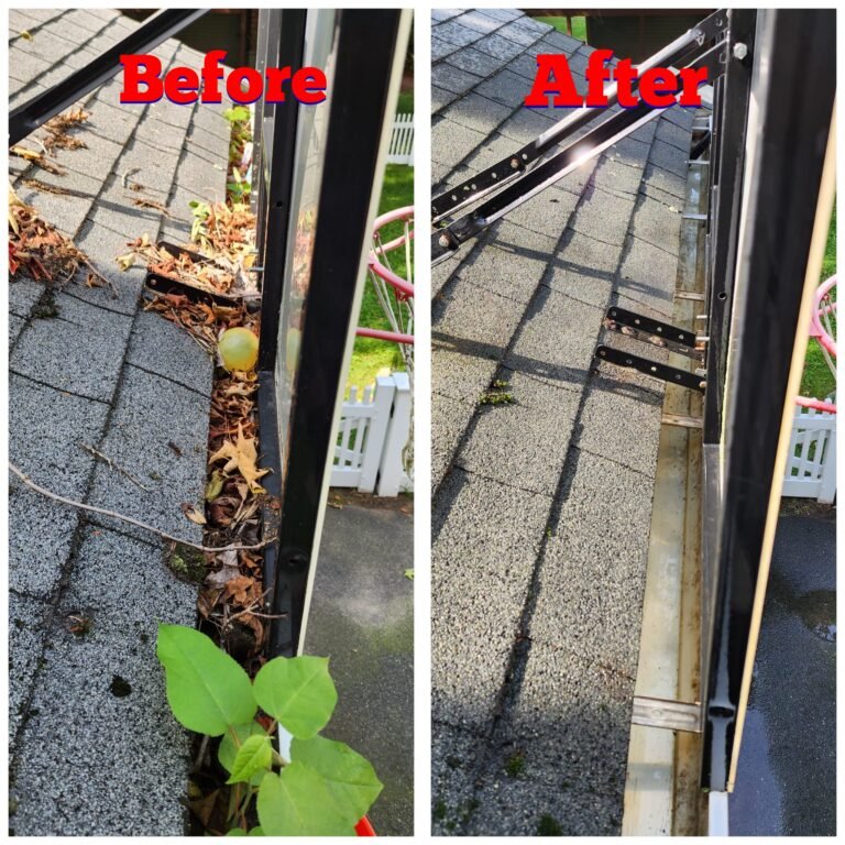 WhatsApp Image 2026-03-08 at 10.58.53 (1)