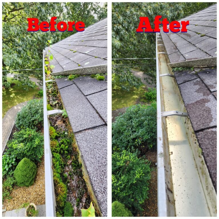 WhatsApp Image 2026-03-08 at 10.58.53 (2)