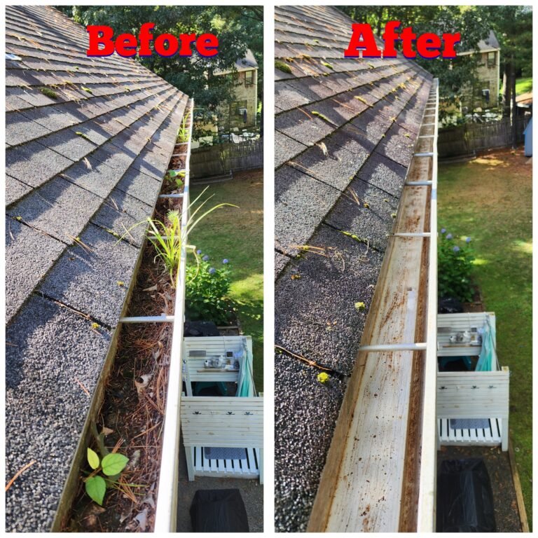 WhatsApp Image 2026-03-08 at 10.58.53 (3)