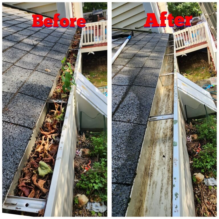 WhatsApp Image 2026-03-08 at 10.58.53