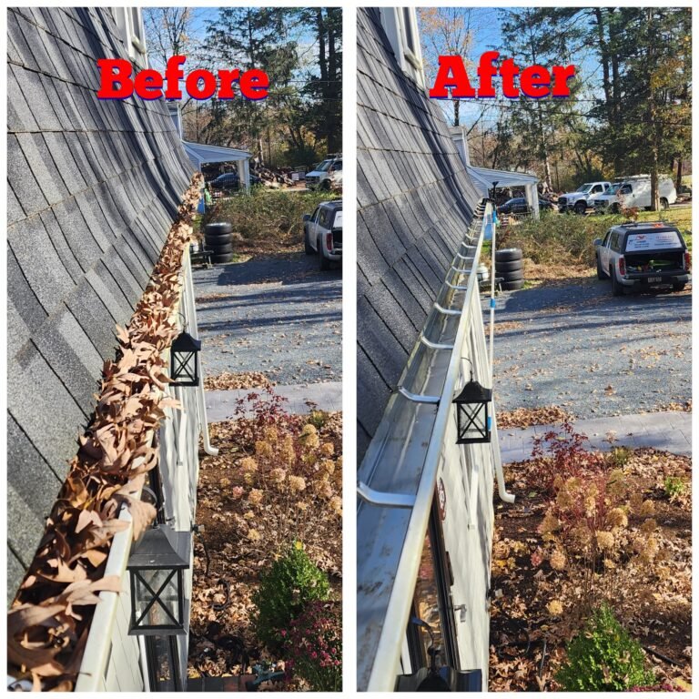 WhatsApp Image 2026-03-08 at 10.58.54 (1)