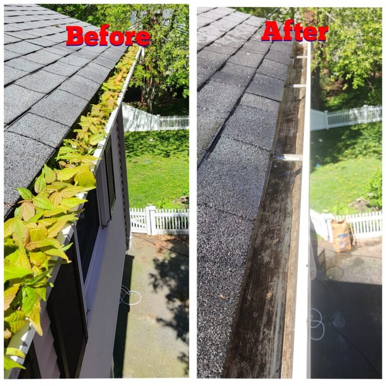 WhatsApp Image 2026-03-08 at 10.58.54