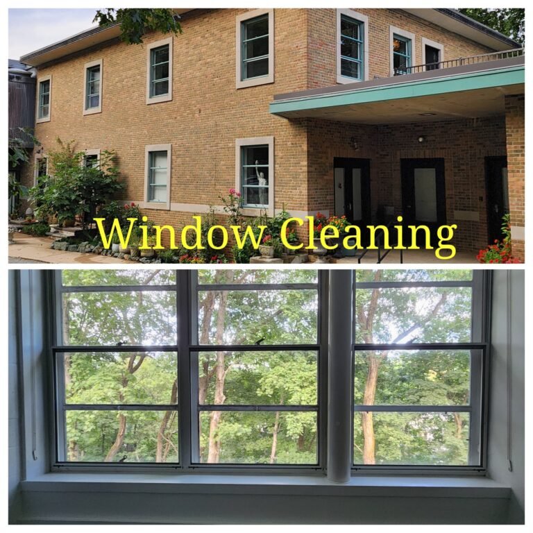 WhatsApp Image 2026-03-08 at 11.03.08