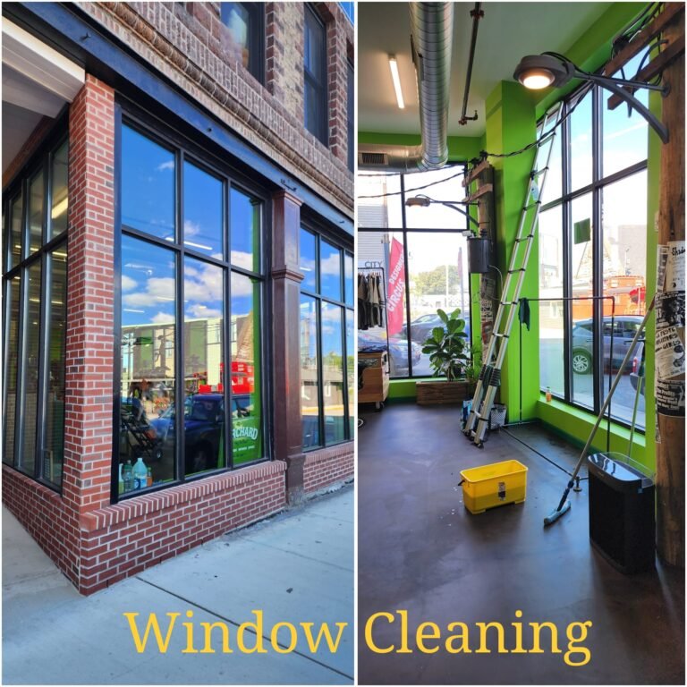 WhatsApp Image 2026-03-08 at 11.04.46