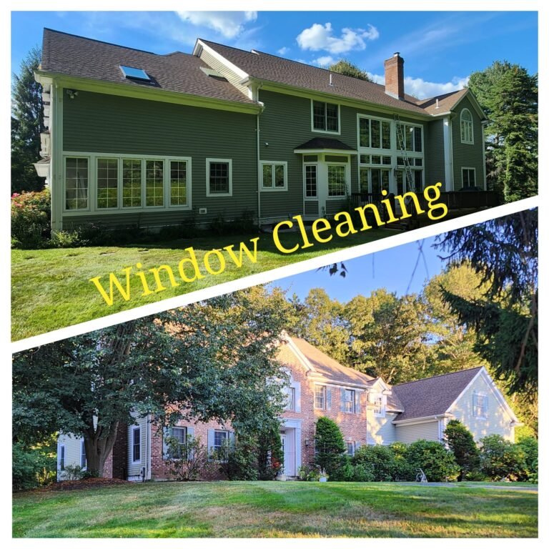 WhatsApp Image 2026-03-08 at 11.07.44