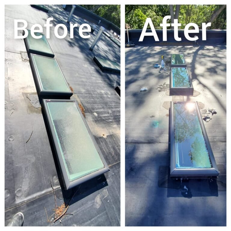 WhatsApp Image 2026-03-12 at 15.22.41