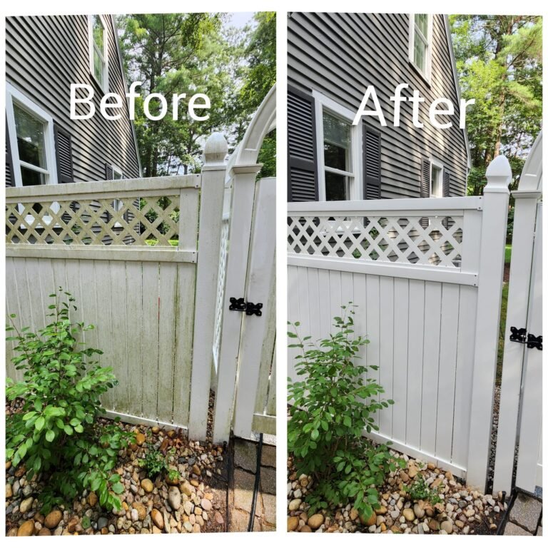 WhatsApp Image 2026-03-12 at 15.26.23