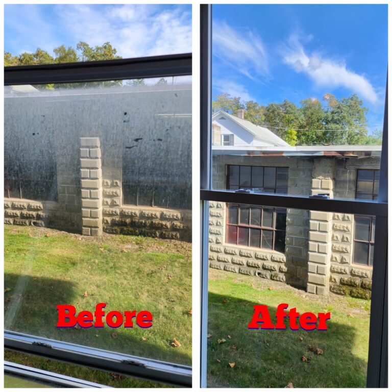 WhatsApp Image 2026-03-12 at 15.36.25