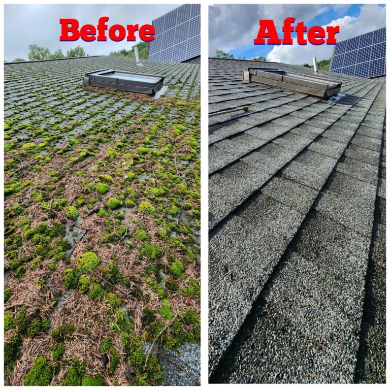 WhatsApp Image 2026-03-12 at 15.37.03