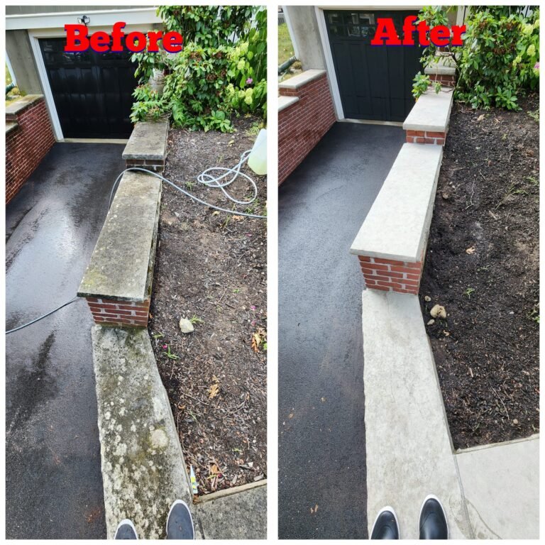 WhatsApp Image 2026-03-12 at 15.39.09